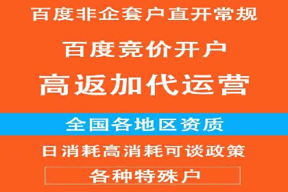 百度竞价公司成功案例揭秘：如何快速提升品牌曝光度
